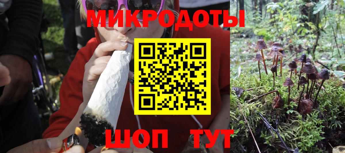 Алапаевск  Галлюциногенные грибы ЛСД  Галлюциногенные грибы Psilocybe  Вход с VPN 