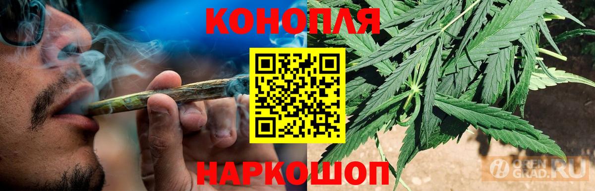Алапаевск  Бошки Шишки тримм  Вход с VPN  Канабис White Widow  Конопля тримм 